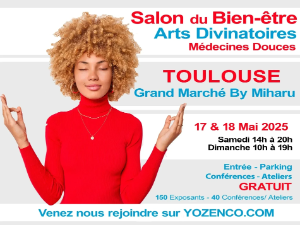 Affiche toulouse 2025 modifier