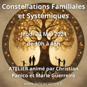 Atelier de constellations familiales et systemiques marie guerreiro mai 2024